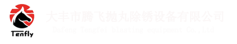 大丰市天游TY8检测中心抛丸除锈设备有限公司